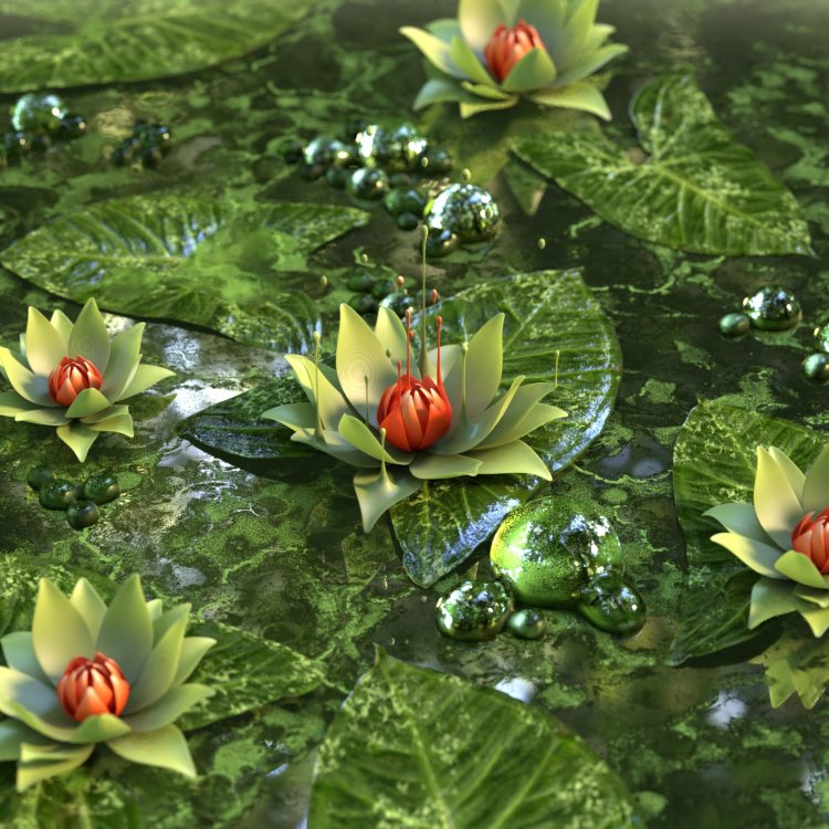 Water Lily, Lotus, Flower, Green Apple Watch wallpaper